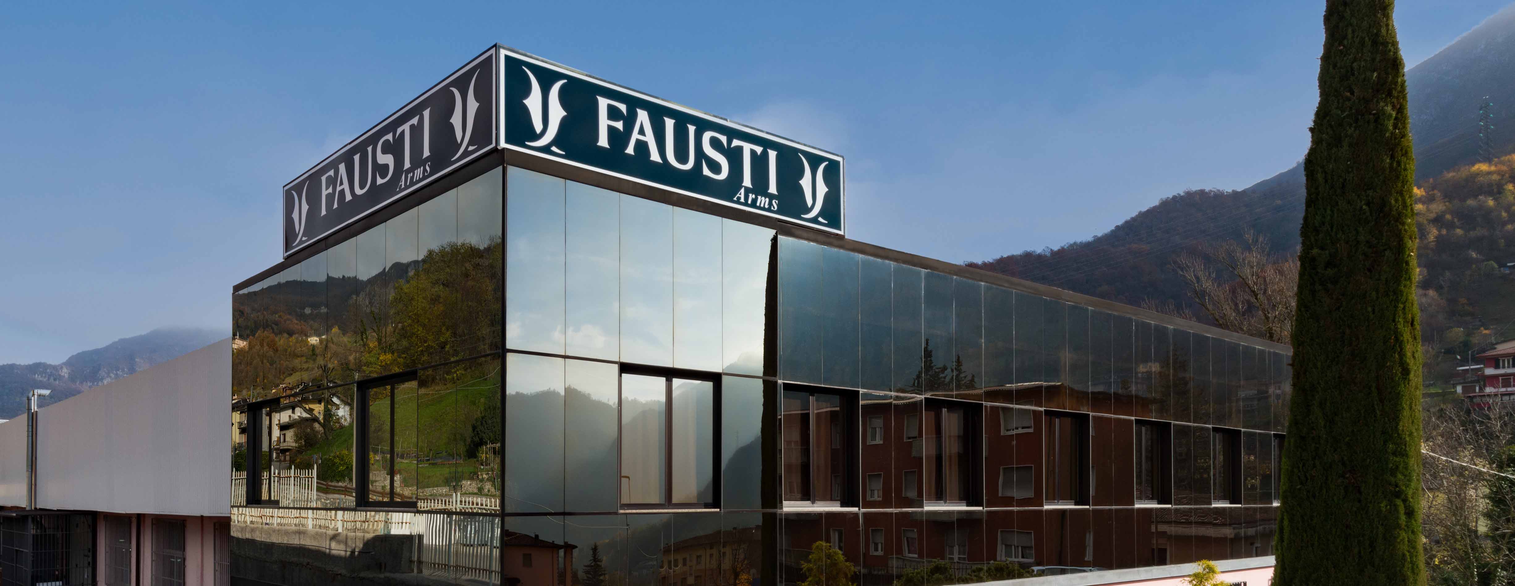Fausti Arms Banner