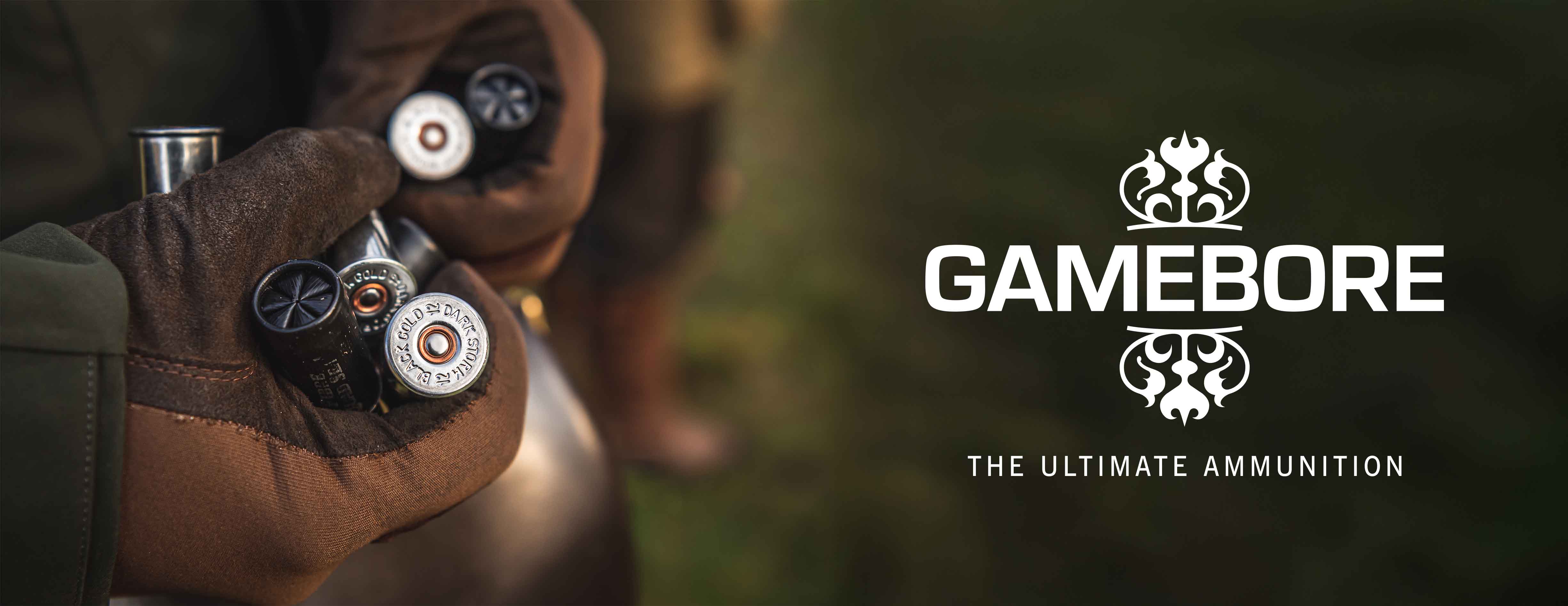 Gamebore Banner