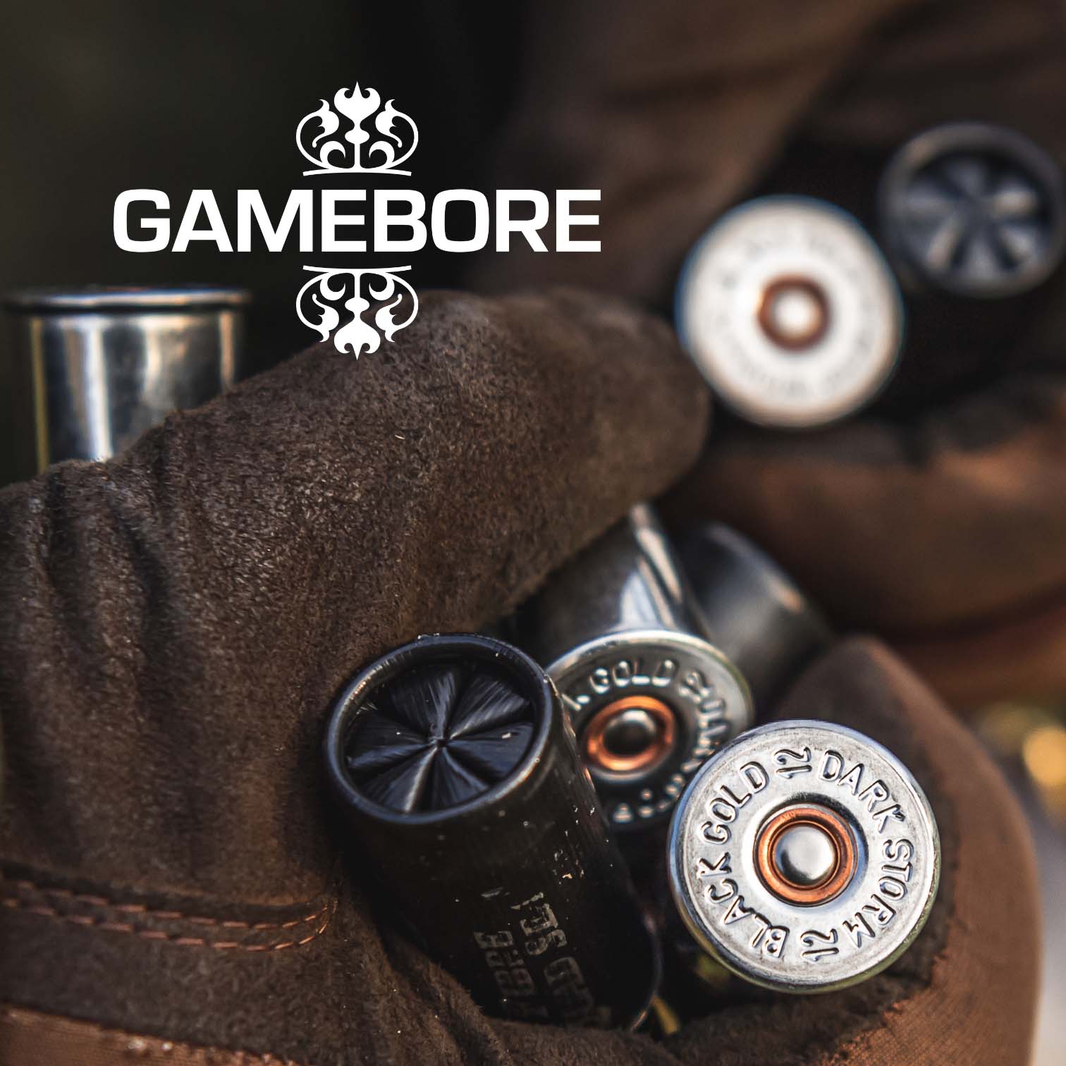Gamebore ? The Ultimate Ammunition
