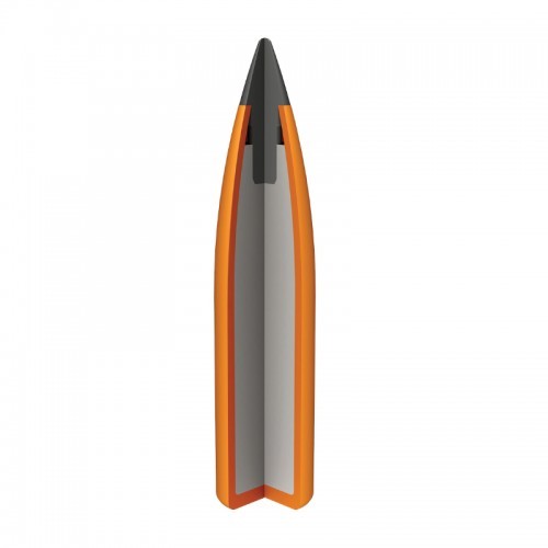 Winchester B�chsen Munition.223 ,Varmint X,55gr 20 Stk.