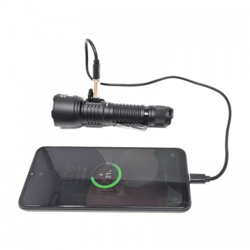 ICU CLOM Luminator Taschenlampe