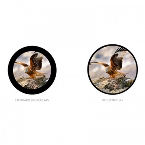 Kite Binocular LYNX HD+