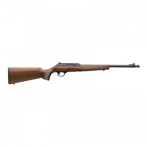 Winchester WILDCAT FIELD SA,S, THR 18? 22LR