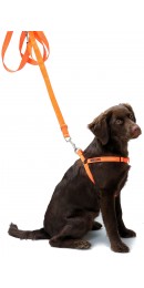 Farm-Land Hundegeschirr orange