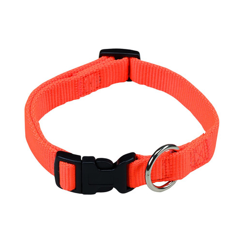 Halsband signalorange