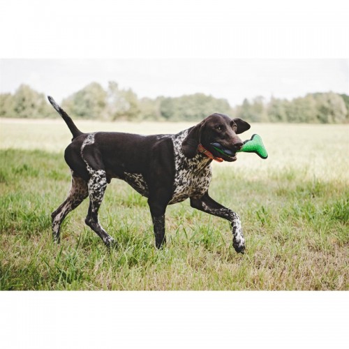 Farm-Land Spielzeug-Knochen Grn