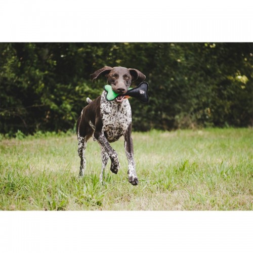 Farm-Land Spielzeug-Knochen Grn