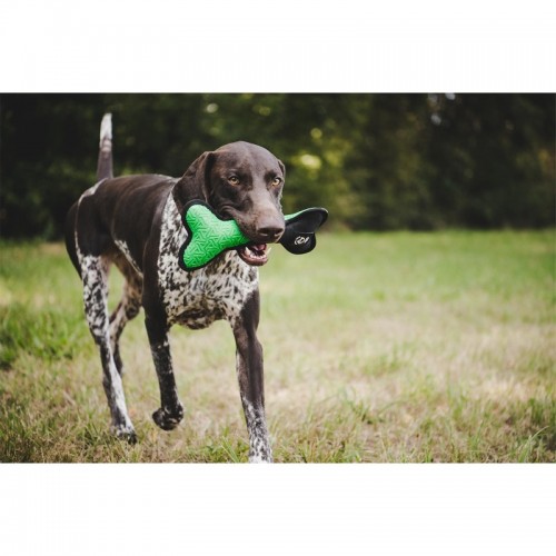 Farm-Land Spielzeug-Knochen Grn