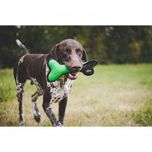 Farm-Land Spielzeug-Knochen Grn