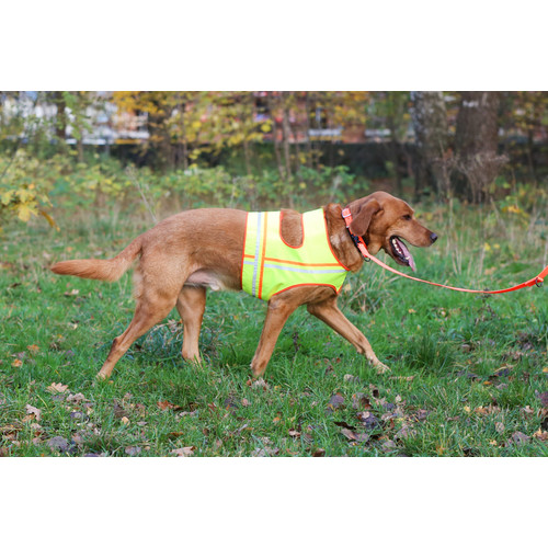 Farm-Land Dog Reflector Vest