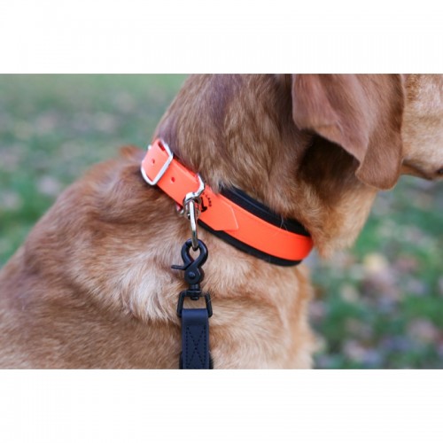 Farm-Land Sling Leash