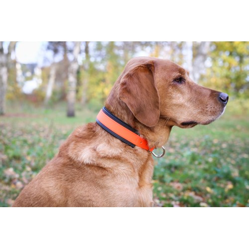 Farm-Land Hunde Schweihalsung Signalorange 30-40 cm