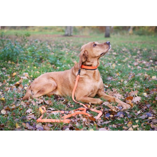 Farm-Land Hunde Schweihalsung Signalorange 30-40 cm