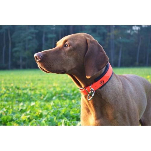 Farm-Land Hunde Schweihalsung Signalorange 30-40 cm