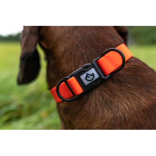 Farm-Land Dog Collar Adjustable Signalorange