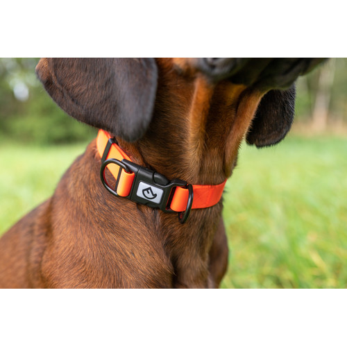Farm-Land Dog Collar Adjustable Signalorange 24-36 cm