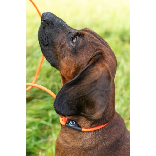 Farm-Land silent dog lead orange
