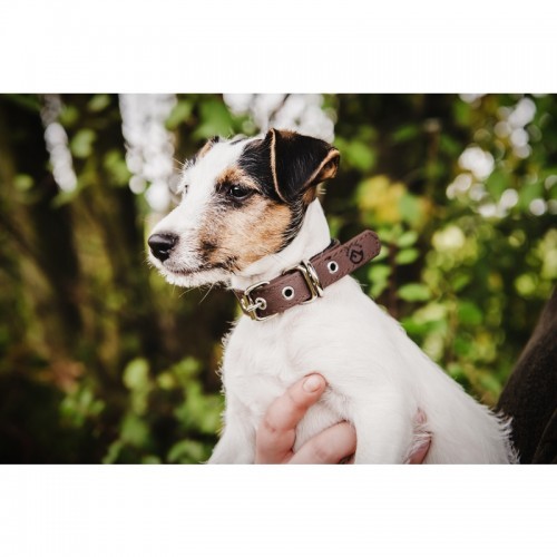 Farm-Land Hunde Halsung Comfort braun 60