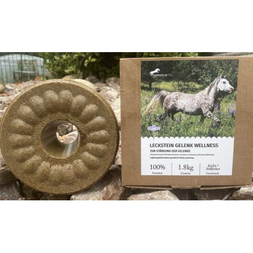Wildlutscher Leckstein für Pferde und Ponys Gelenk...