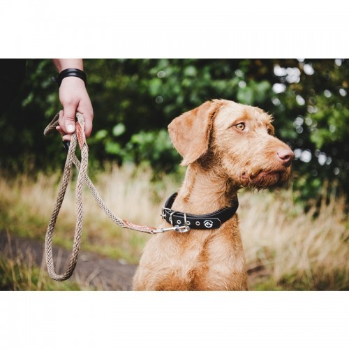 Farm-Land Hunde Halsung Comfort schwarz 55