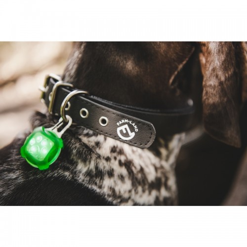 Farm-Land Hunde Halsung Comfort schwarz 55