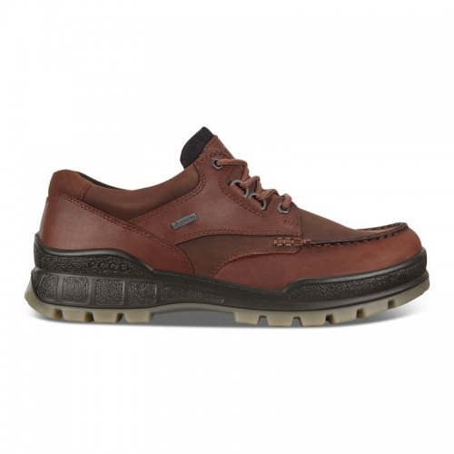 Ecco Herren Wanderschuh Track 25 Low GTX Braun 41