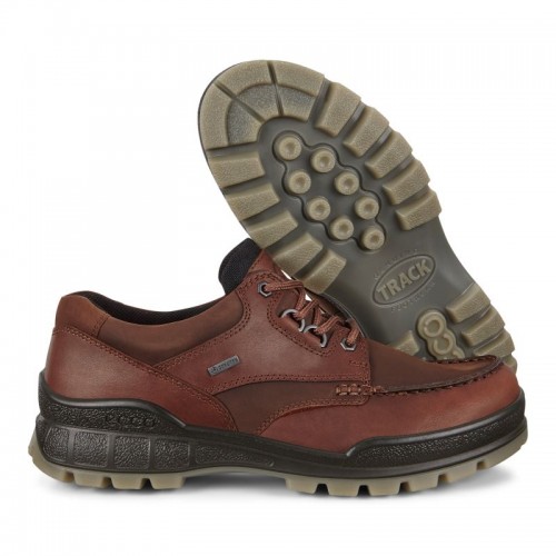 Ecco Herren Wanderschuh Track 25 Low GTX Braun 41