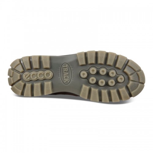 Ecco Herren Wanderschuh Track 25 Low GTX Braun 41