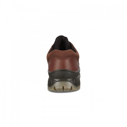 Ecco Herren Wanderschuh Track 25 Low GTX Braun 41