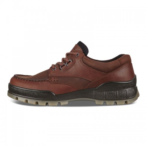 Ecco Herren Wanderschuh Track 25 Low GTX Braun 41