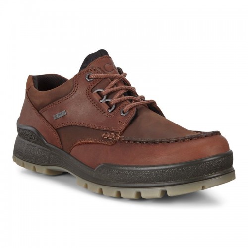 Ecco Herren Wanderschuh Track 25 Low GTX Braun 41