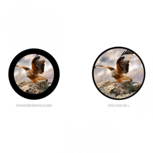 Kite Fernglas Lynx HD+, BL, 10x42